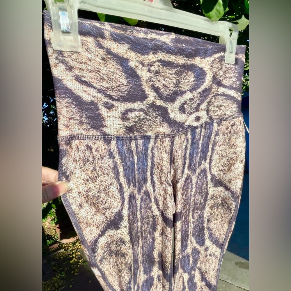 RARE- Jungle Cat Niyama Sol Flares, NEW! Sexy Indigo and tan animal print. Lapiz - Picture 5 of 7